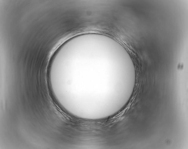 X0000094360244200711021342