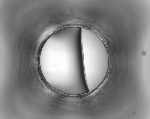 X0000094360245200711021342