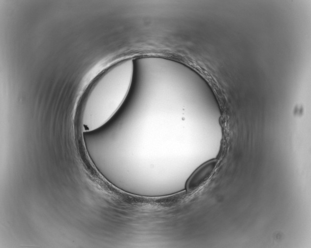 X0000094360246200711021342