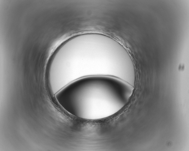 X0000094360248200711021343