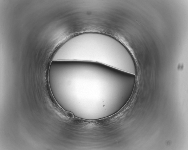 X0000094360249200711021343