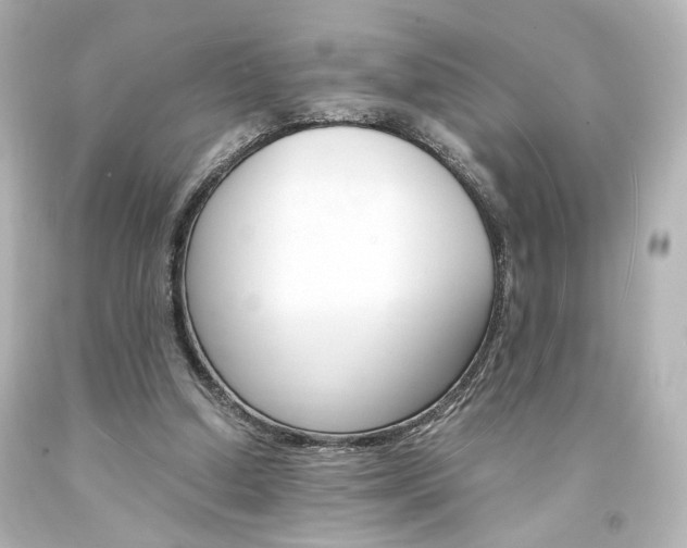X0000094360250200711021343