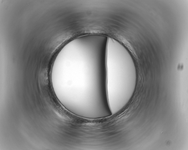 X0000094360251200711021343
