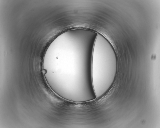 X0000094360253200711021343