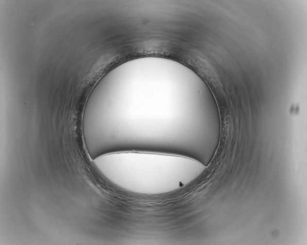 X0000094360255200711021343