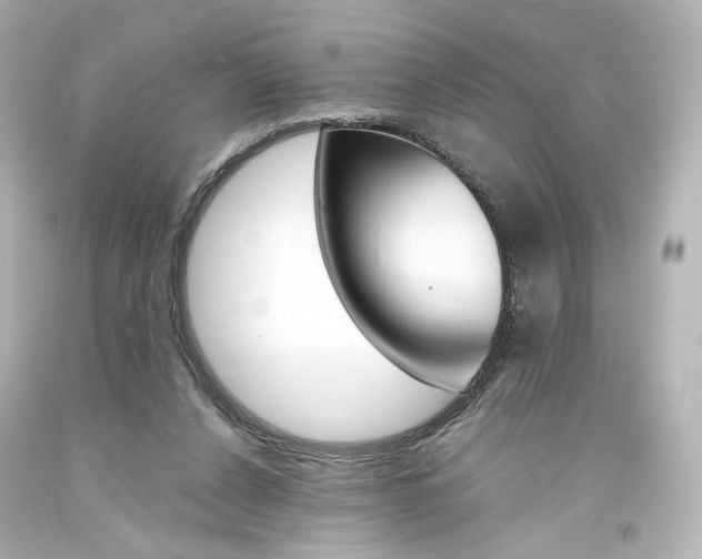 X0000094360256200711021343