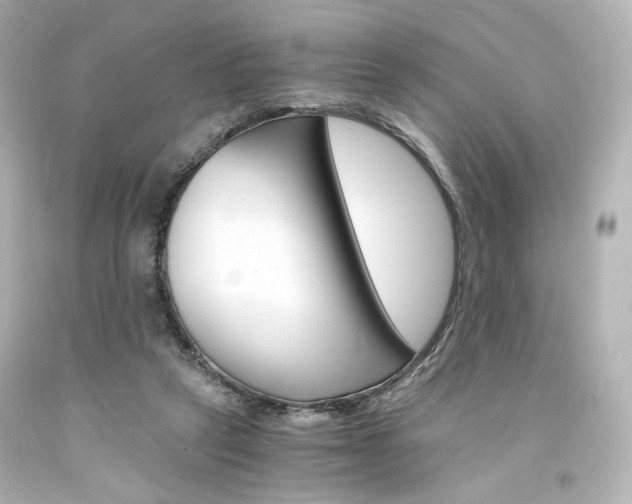X0000094360257200711021343