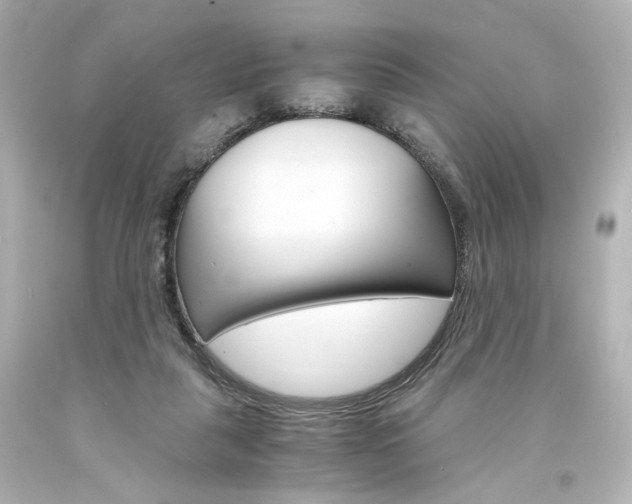 X0000094360259200711021343