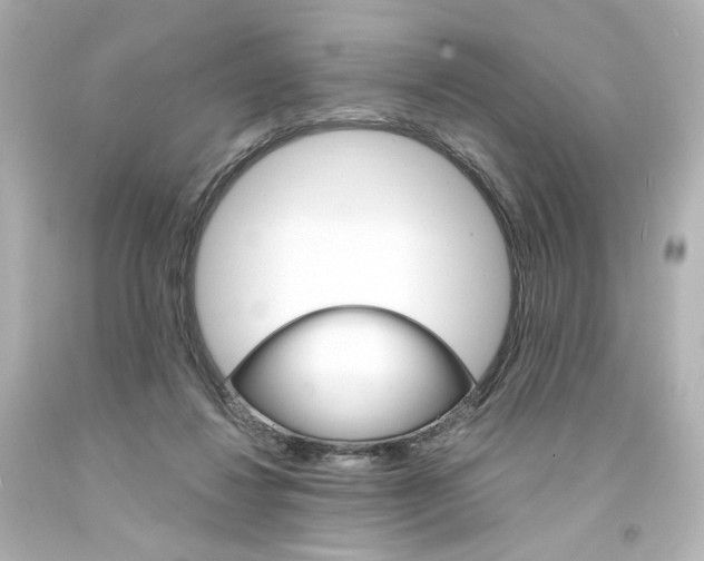 X0000094360260200711021343