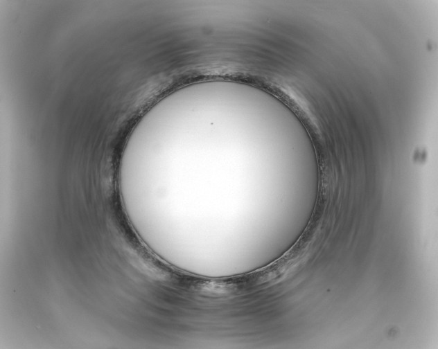X0000094360261200711021343