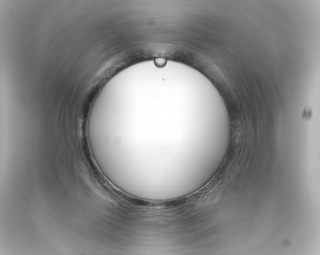 X0000094360262200711021343