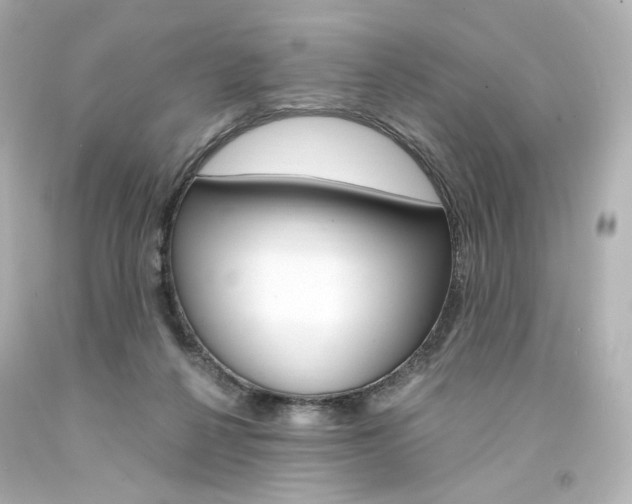 X0000094360264200711021343