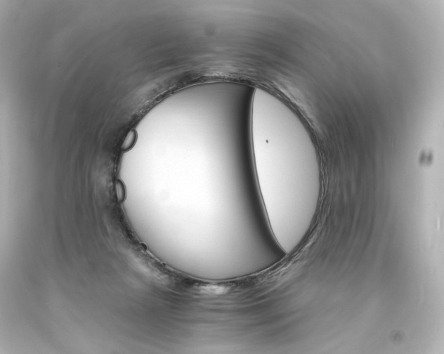 X0000094360265200711021343