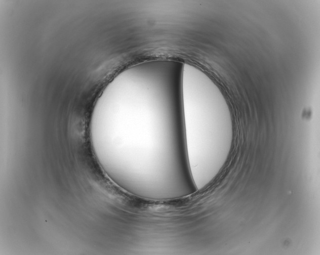 X0000094360268200711021343