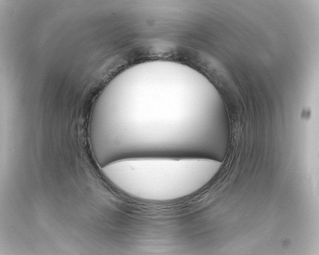X0000094360270200711021343