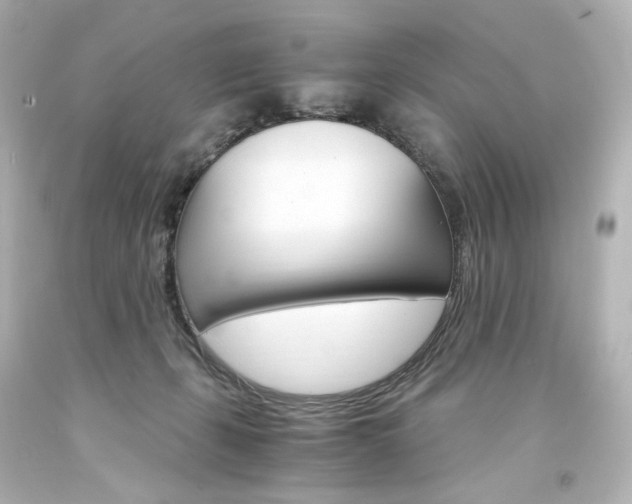 X0000094360271200711021343
