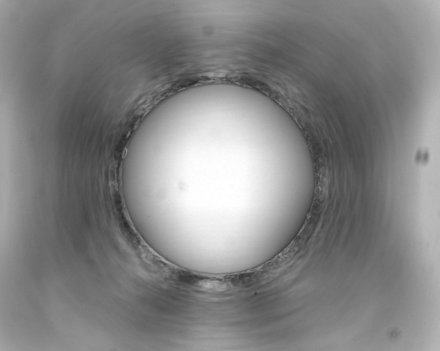 X0000094360272200711021343