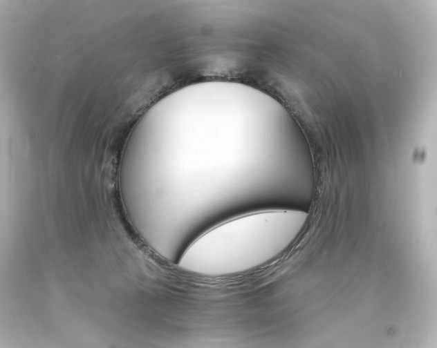 X0000094360273200711021343