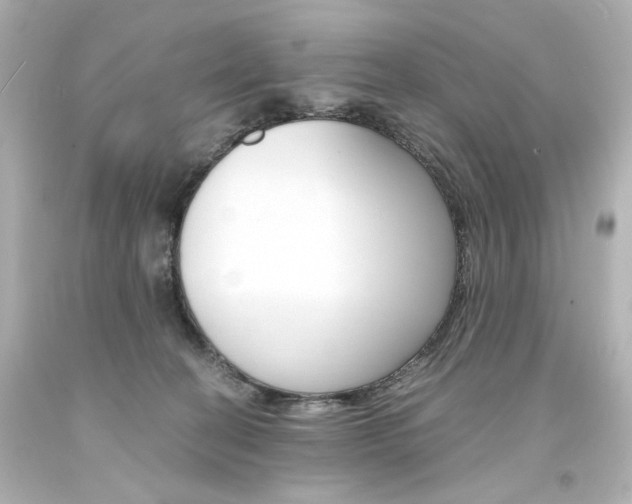 X0000094360274200711021343