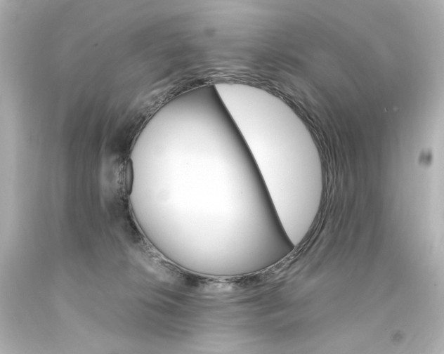 X0000094360276200711021343