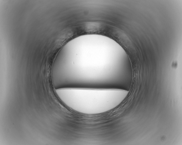 X0000094360277200711021343