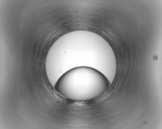 X0000094360280200711021343