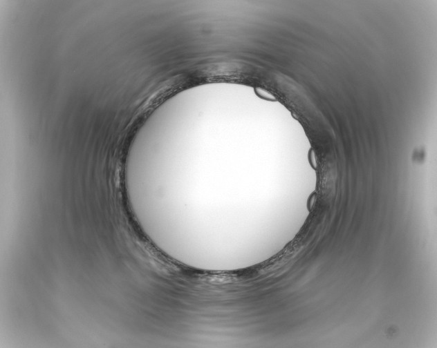 X0000094360282200711021343