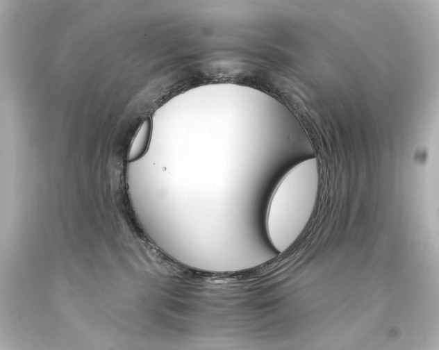 X0000094360283200711021343