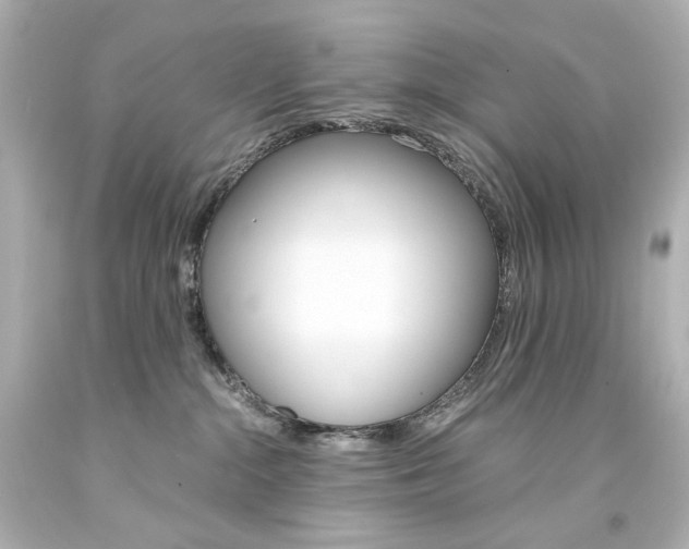 X0000094360284200711021343