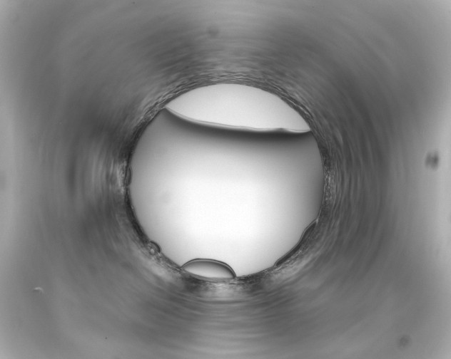 X0000094360286200711021343
