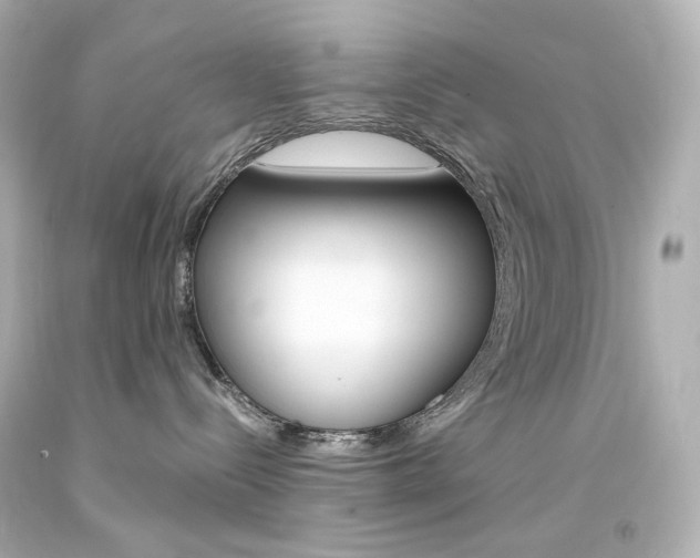 X0000094360288200711021343