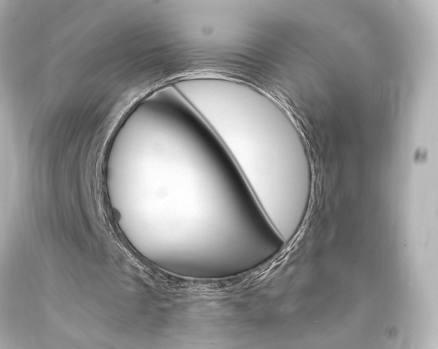 X0000094360289200711021342