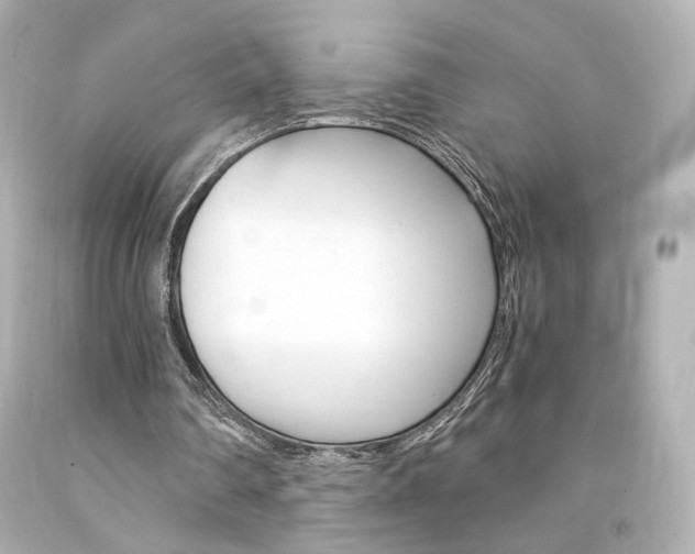 X0000094360290200711021342