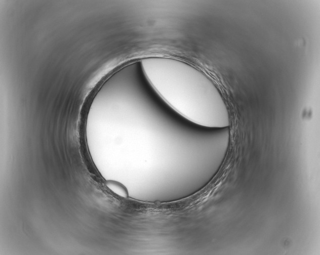 X0000094360292200711021342