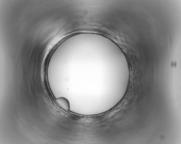 X0000094360294200711021342