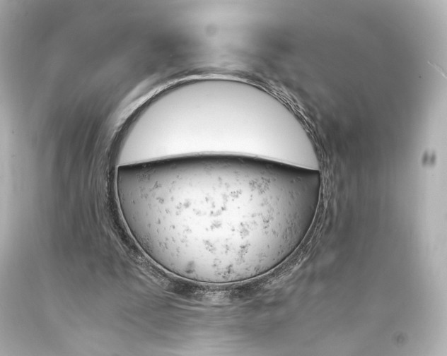 X0000094360295200711021342