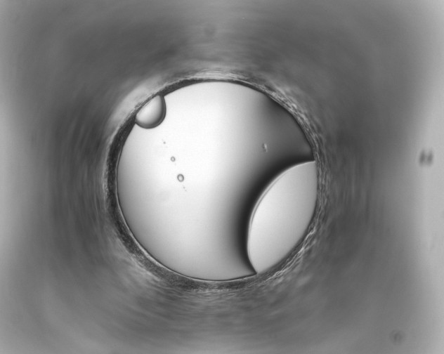 X0000094360296200711021342