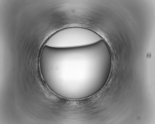 X0000094360297200711021342