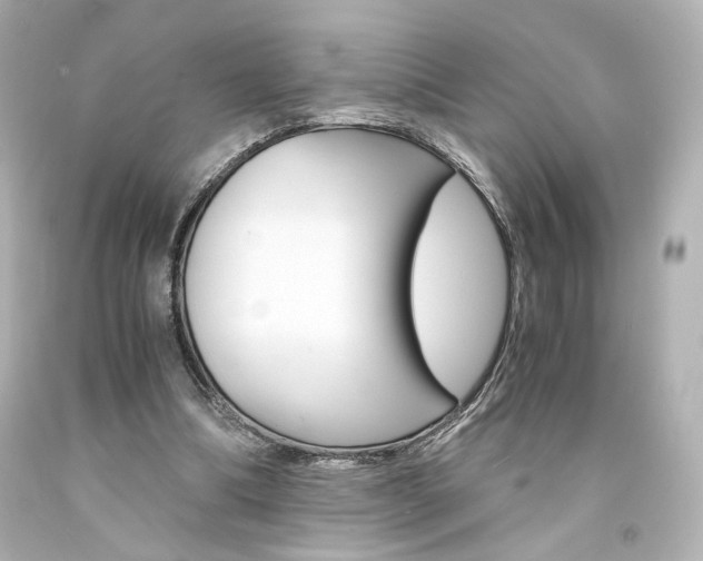 X0000094360298200711021342