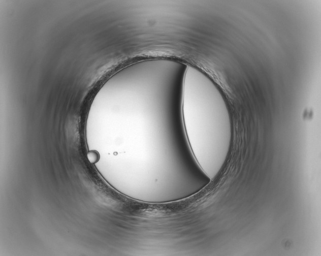 X0000094360300200711021342