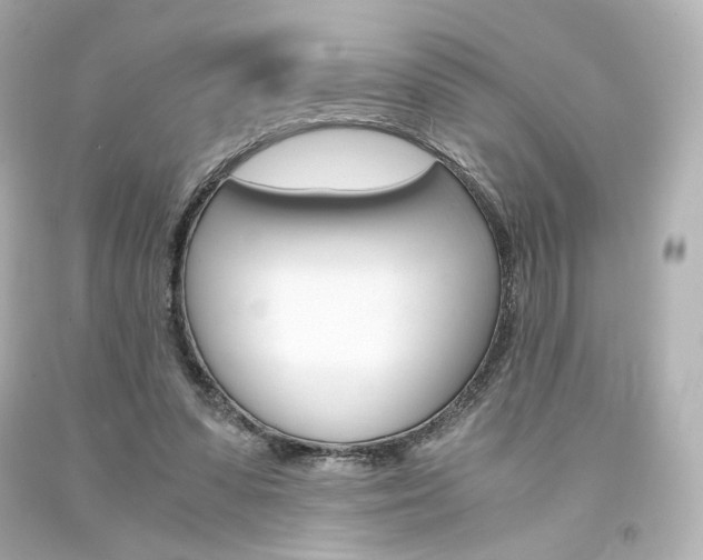 X0000094360303200711021342