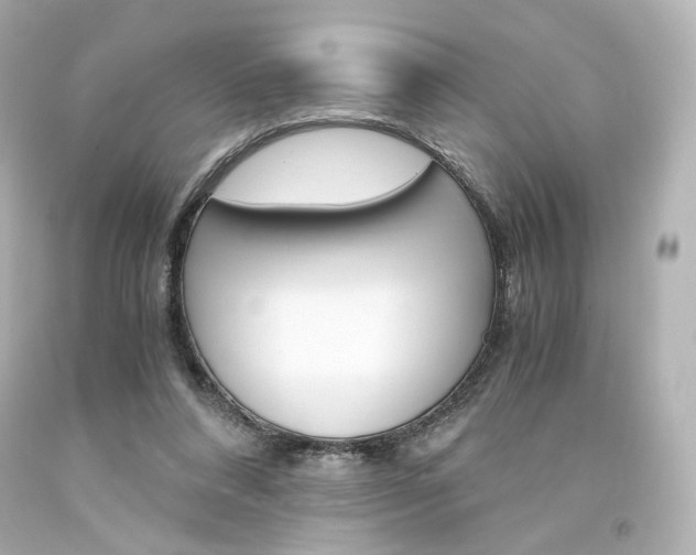 X0000094360304200711021342