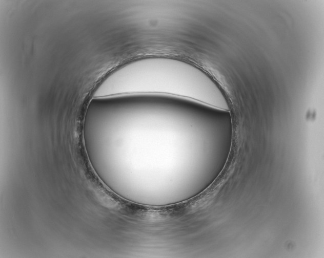 X0000094360305200711021342