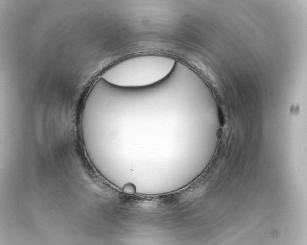 X0000094360306200711021342