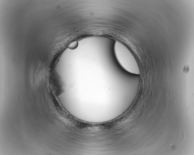 X0000094360307200711021342