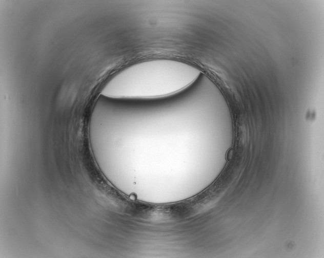 X0000094360308200711021342