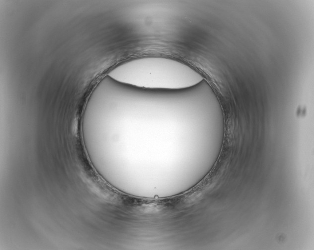X0000094360310200711021342