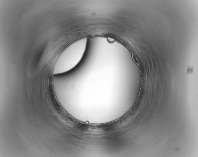 X0000094360311200711021342