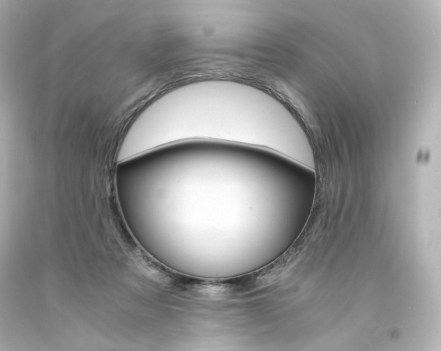 X0000094360313200711021342
