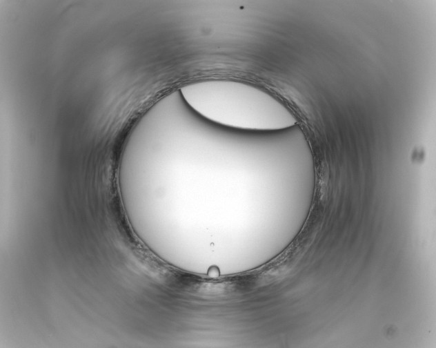 X0000094360314200711021342